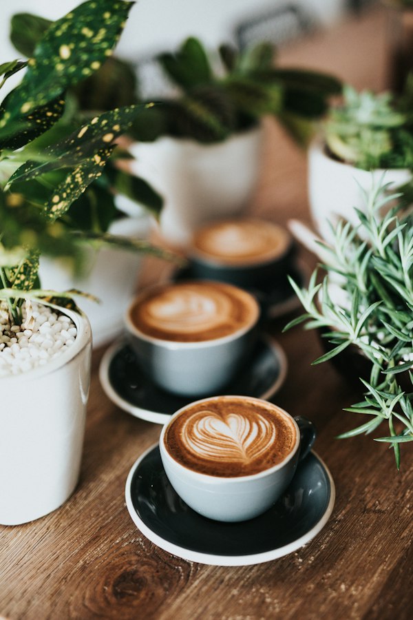 Coffee & Drinks
