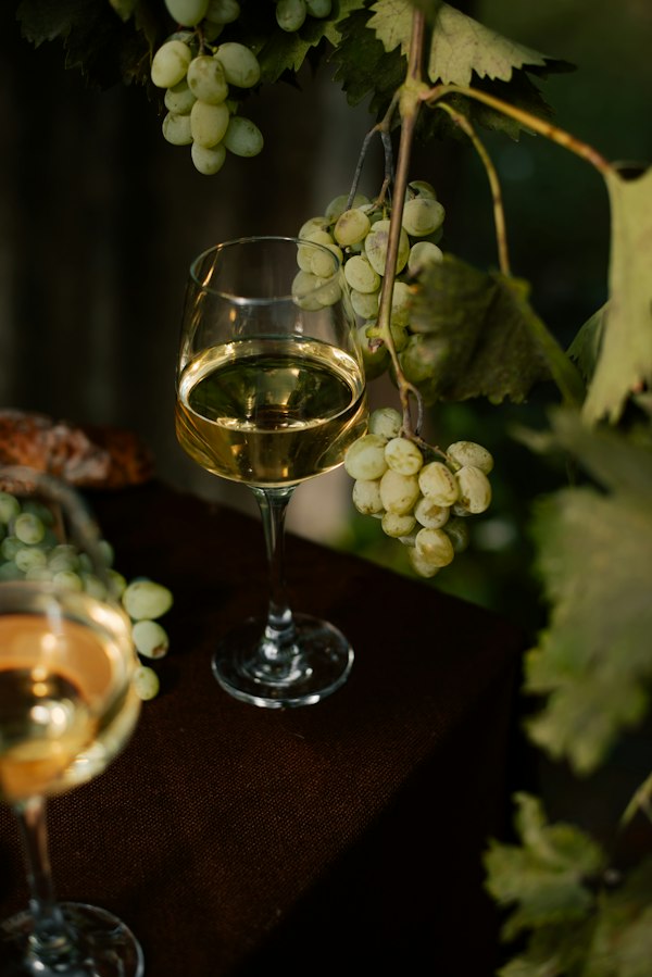 White Wines