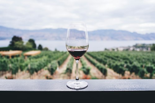 Red Wines